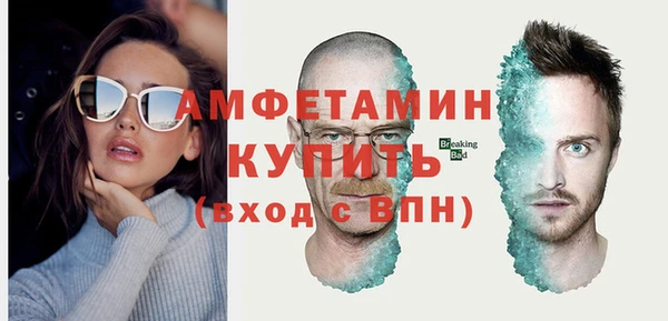 дживик Инта