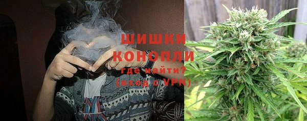 твердый Алзамай