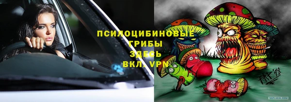 твердый Алзамай