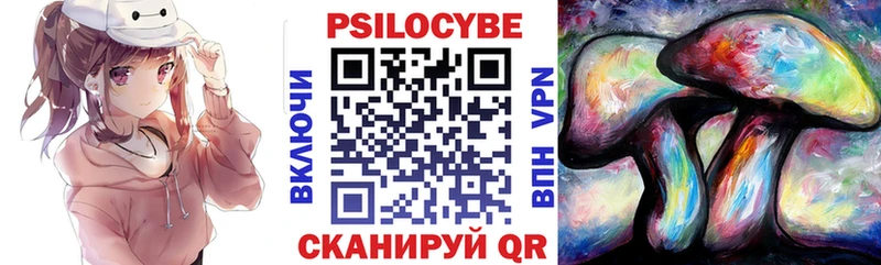 МЕГА вход  Камешково  Псилоцибиновые грибы Magic Shrooms  где можно купить наркотик 